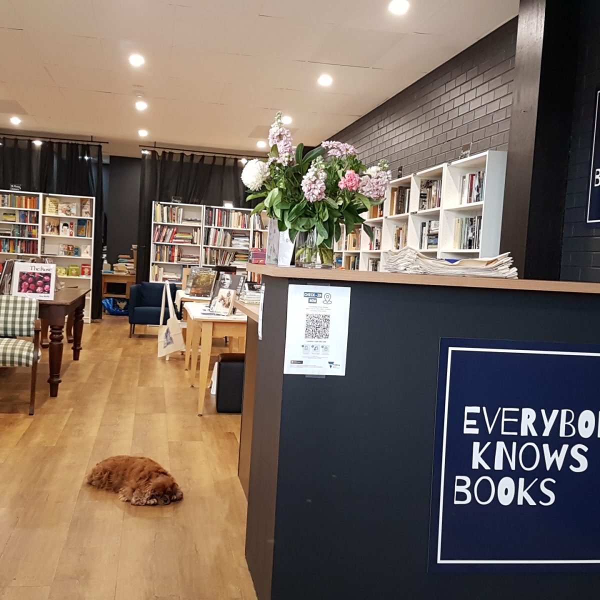 Everybody Knows Books