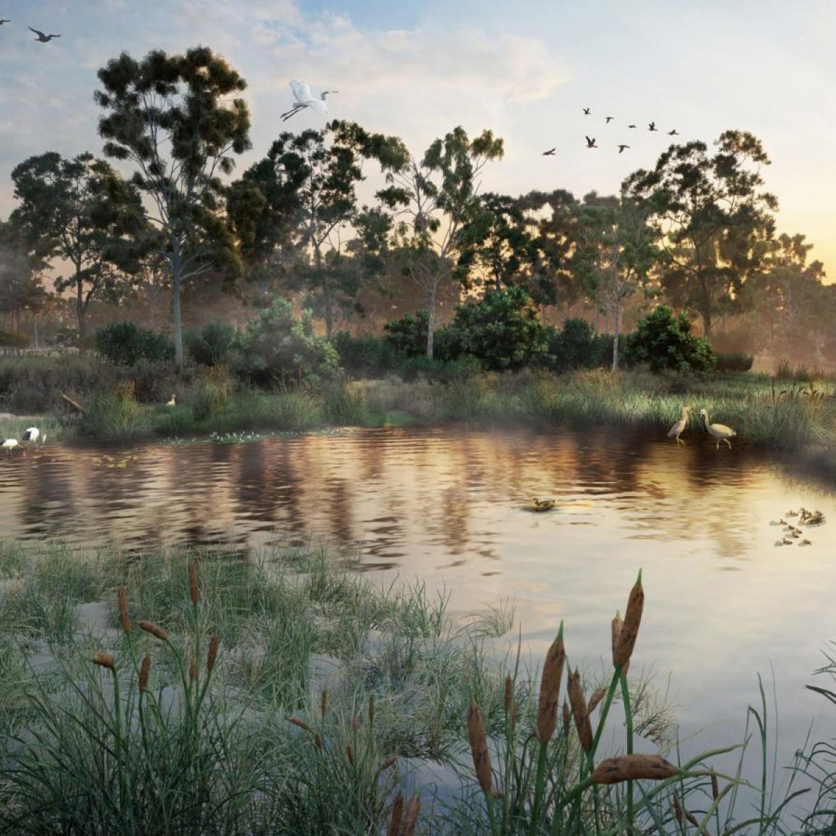 Elsternwick Park Nature Reserve